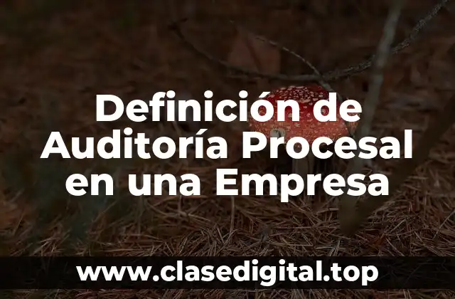 Definición de Auditoría Procesal en una Empresa