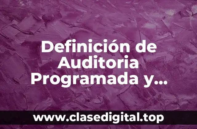 Definición de Auditoria Programada y Eventual