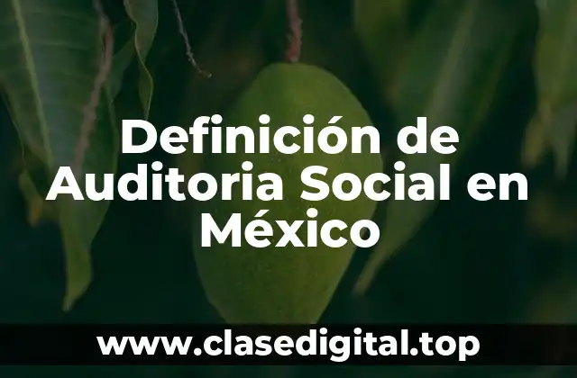 Definición de Auditoria Social en México