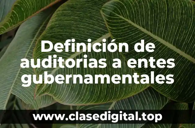 Definición de auditorias a entes gubernamentales