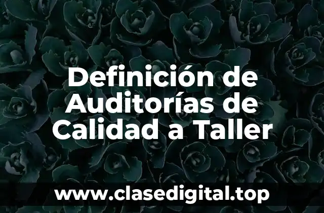 Ejemplos de Auditorías de Calidad a Taller