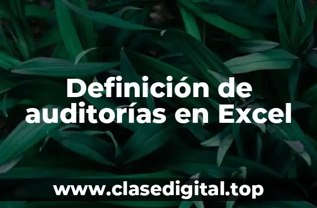 Ejemplos de auditorías en Excel