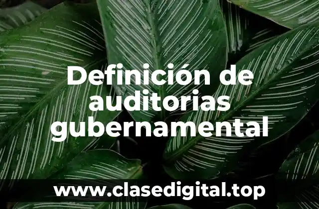 Ejemplos de auditorias gubernamentales