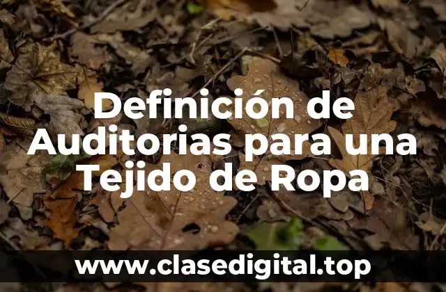 Definición de Auditorias para una Tejido de Ropa