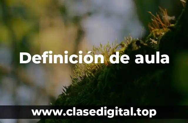 Definición de aula