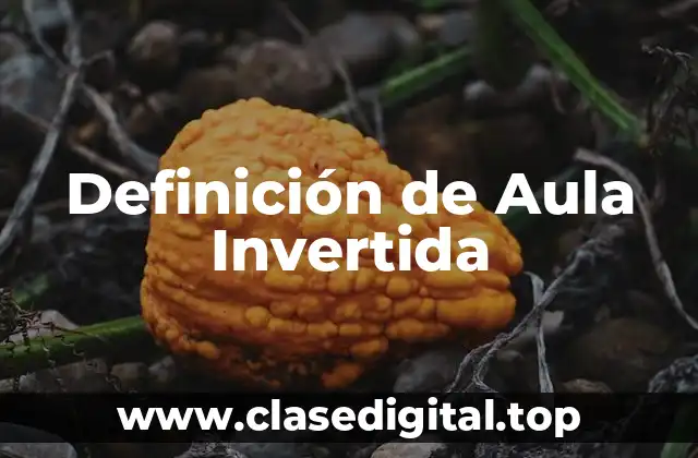 Definición técnica de Aula Invertida