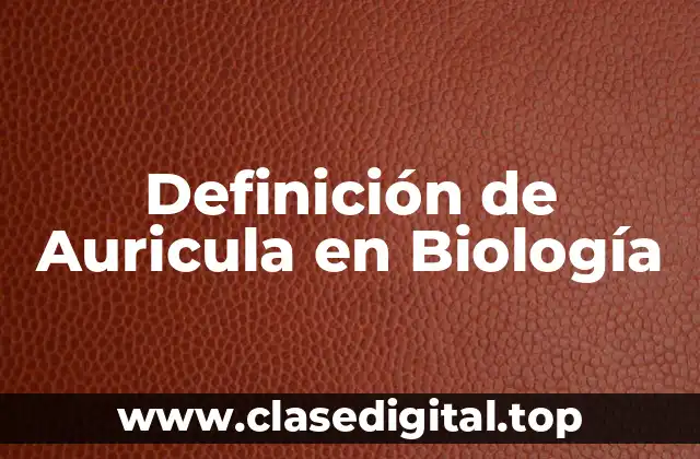 Definición de Auricula en Biología