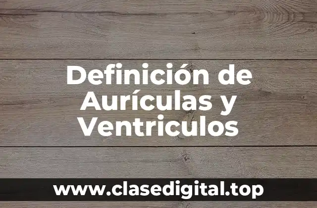 Definición de Aurículas y Ventriculos