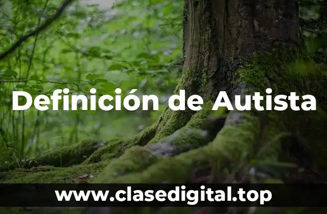 Definición de Autista