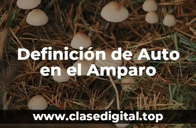 Definición de Auto en el Amparo