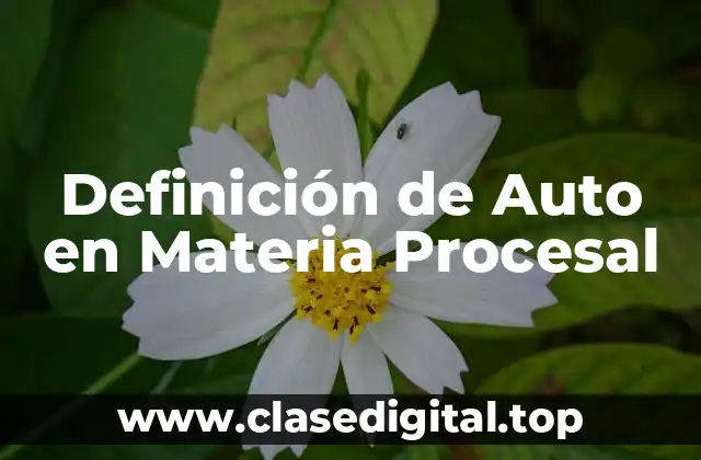 Definición de Auto en Materia Procesal