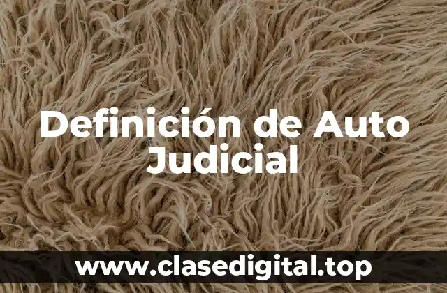 Definición Técnica de Auto Judicial