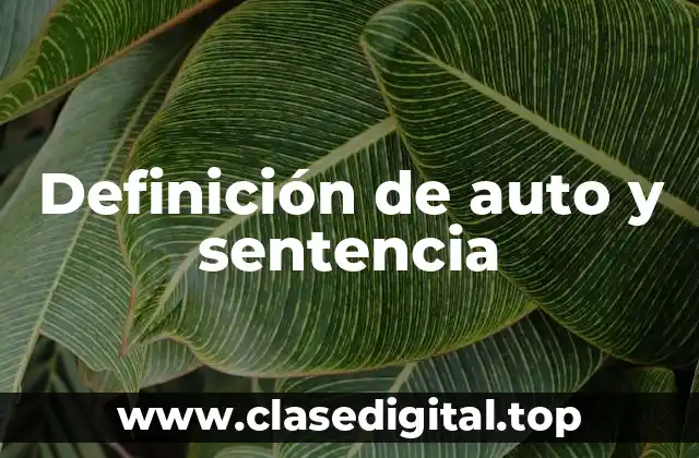 Definición de auto y sentencia