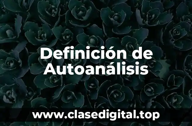 Definición de Autoanálisis