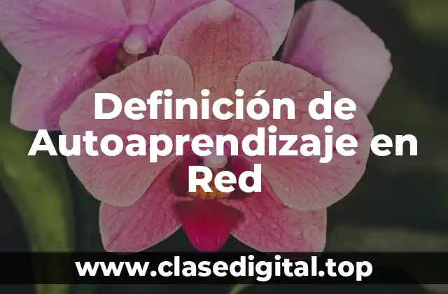 Definición de Autoaprendizaje en Red