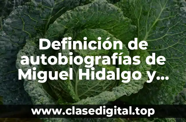 Ejemplos de autobiografías de Miguel Hidalgo y Costilla