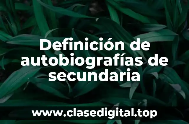 Definición de autobiografías de secundaria