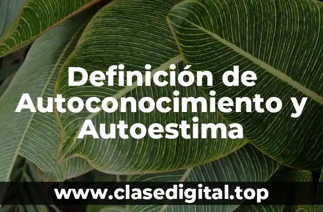 Definición de Autoconocimiento y Autoestima