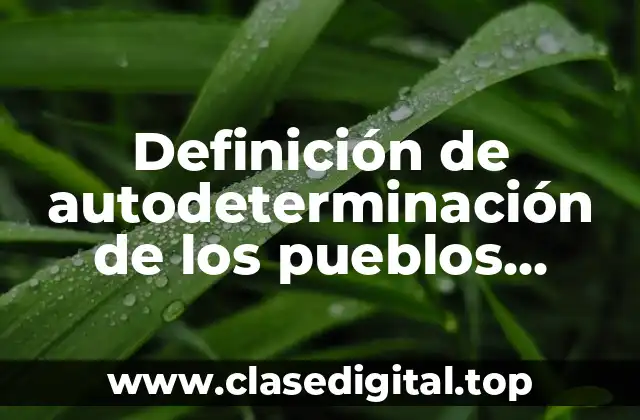 Definición de autodeterminación de los pueblos mexicanos