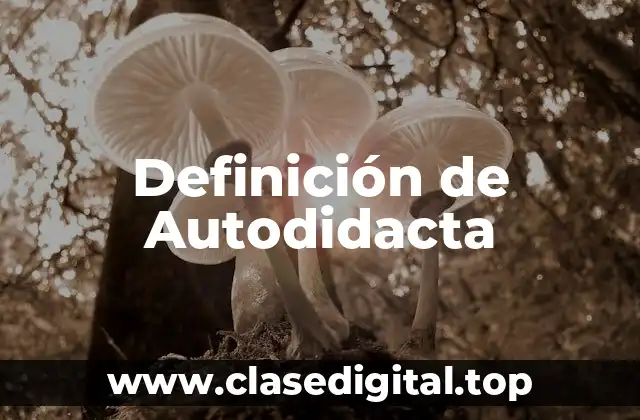 Definición de Autodidacta