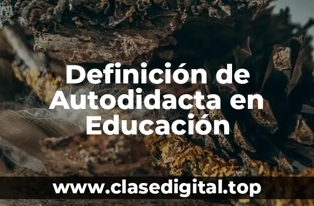 Definición de Autodidacta en Educación