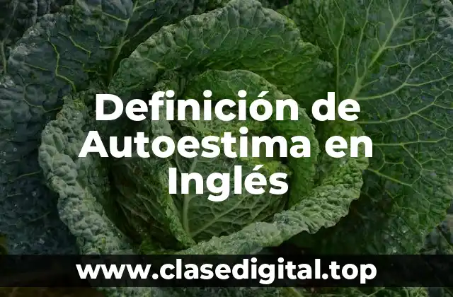 Definición de Autoestima en Inglés
