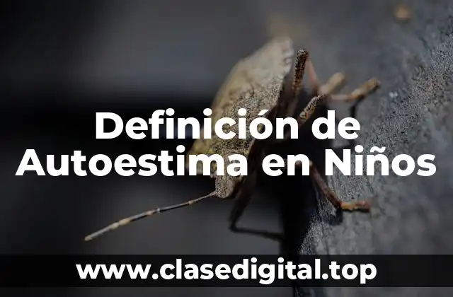 Definición de Autoestima en Niños