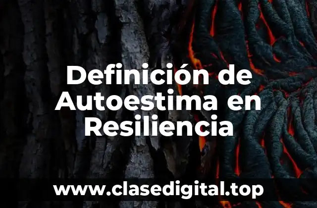 Definición de Autoestima en Resiliencia
