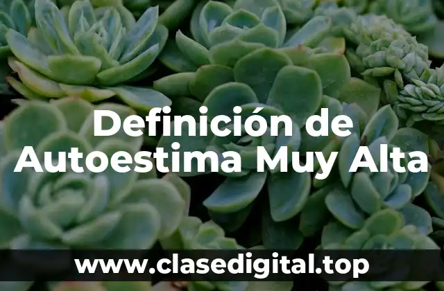 Definición de Autoestima Muy Alta