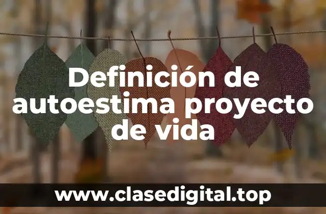 Definición de autoestima proyecto de vida