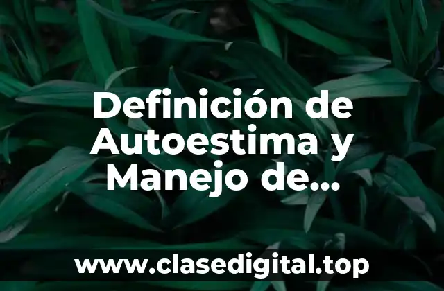 Definición de Autoestima y Manejo de Emociones