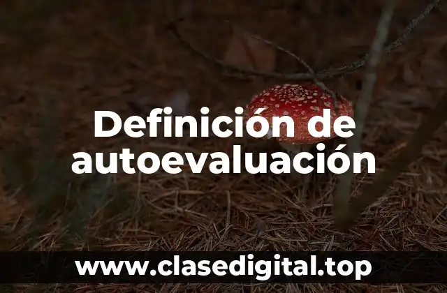 Definición de autoevaluación