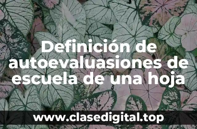 Definición de autoevaluasiones de escuela de una hoja