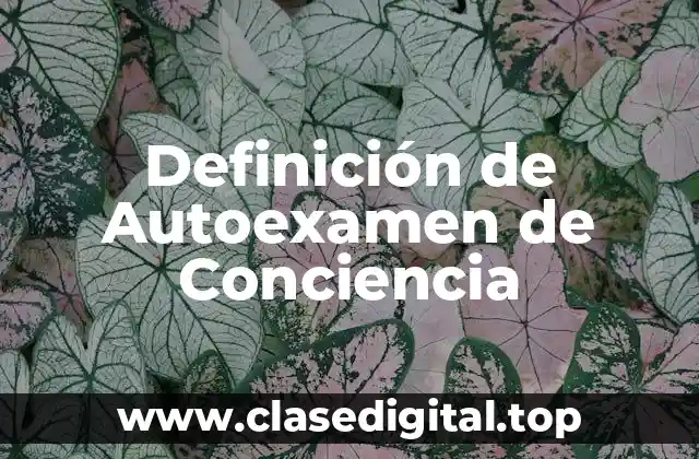 Definición de Autoexamen de Conciencia