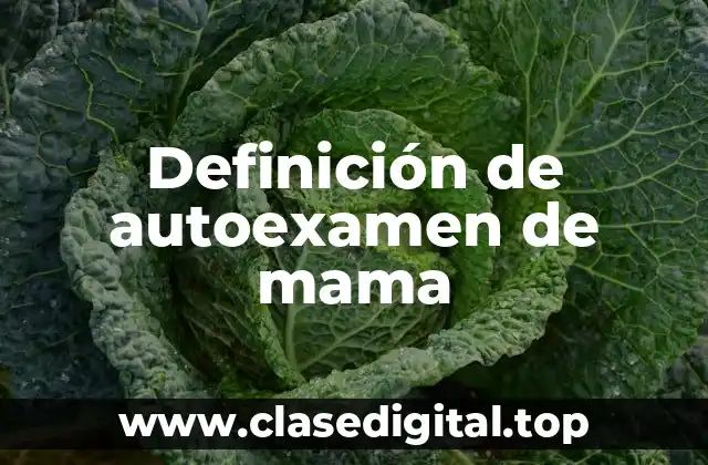 Definición de autoexamen de mama