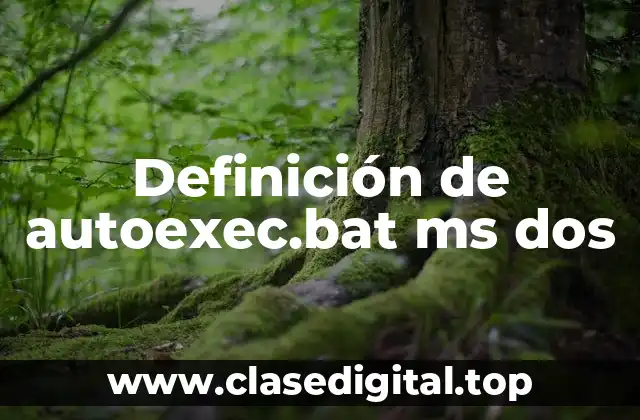 Definición de autoexec.bat ms dos