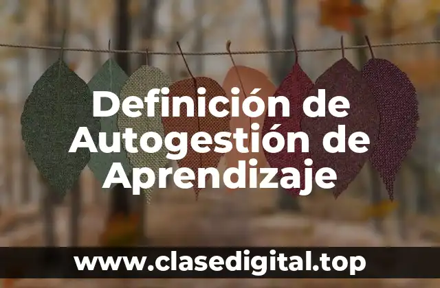 Definición de Autogestión de Aprendizaje