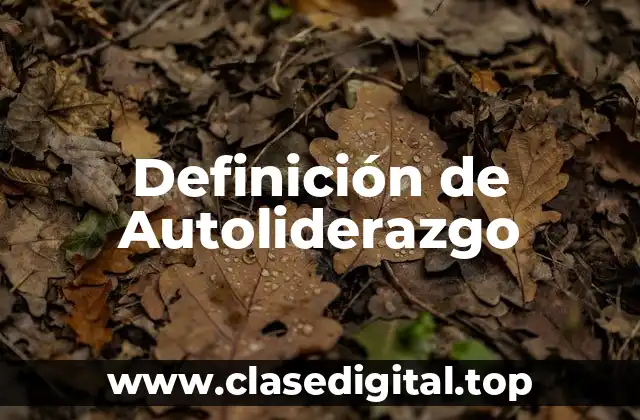 Ejemplos de Autoliderazgo
