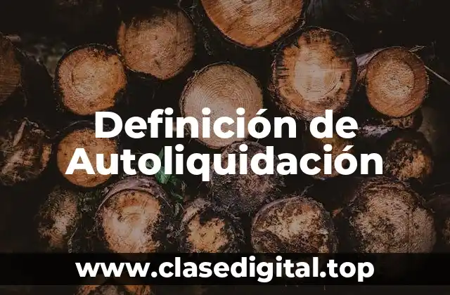 Definición de Autoliquidación