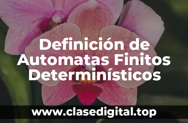 Definición de Automatas Finitos Determinísticos
