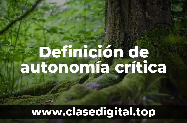 Definición de autonomía crítica