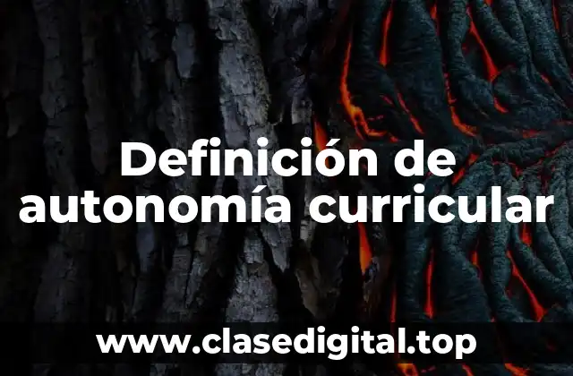 Ejemplos de autonomía curricular