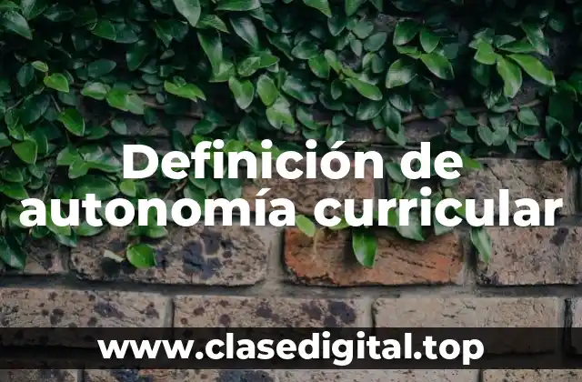 Definición técnica de autonomía curricular