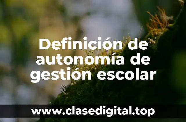 Definición de autonomía de gestión escolar