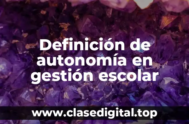 Definición de autonomía en gestión escolar