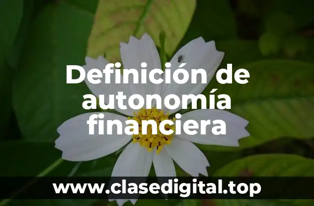 Definición de autonomía financiera