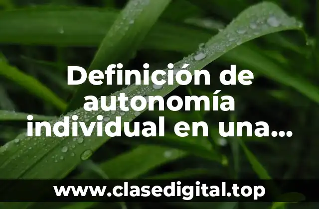 Definición de autonomía individual en una empresa