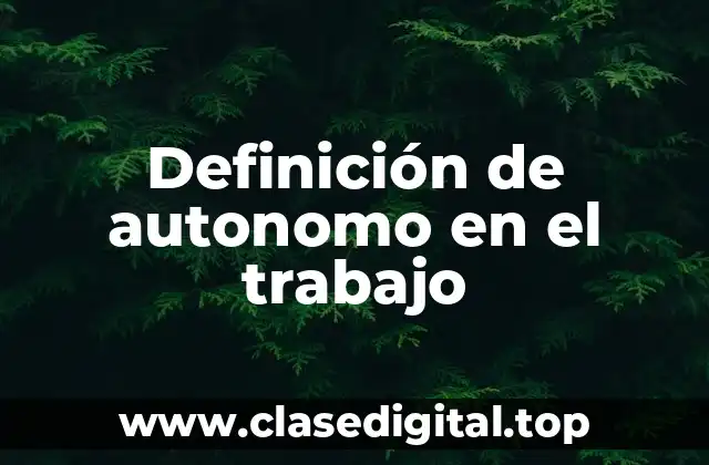 Definición de autonomo en el trabajo