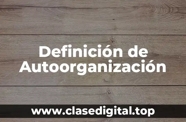 Definición de Autoorganización