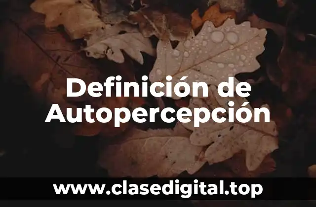 Definición de Autopercepción